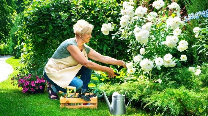 Gardening tools